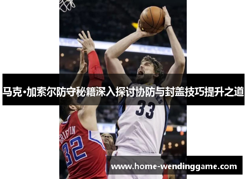 马克·加索尔防守秘籍深入探讨协防与封盖技巧提升之道