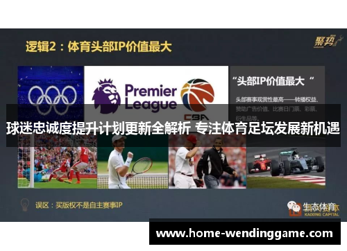 球迷忠诚度提升计划更新全解析 专注体育足坛发展新机遇