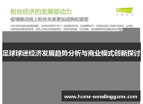 足球球迷经济发展趋势分析与商业模式创新探讨