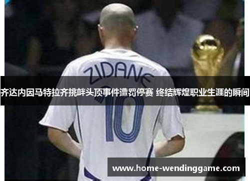 齐达内因马特拉齐挑衅头顶事件遭罚停赛 终结辉煌职业生涯的瞬间