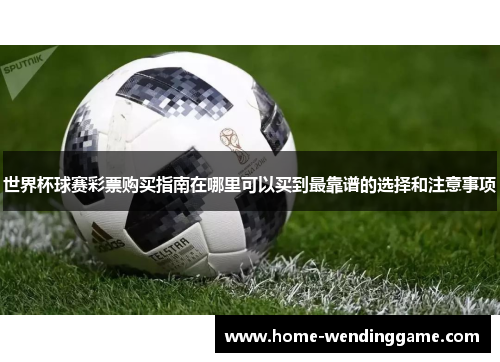 世界杯球赛彩票购买指南在哪里可以买到最靠谱的选择和注意事项