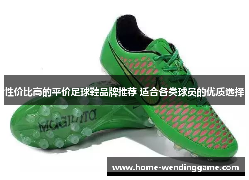 性价比高的平价足球鞋品牌推荐 适合各类球员的优质选择