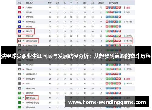 法甲球员职业生涯回顾与发展路径分析：从起步到巅峰的奋斗历程