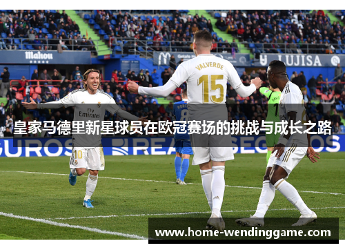 皇家马德里新星球员在欧冠赛场的挑战与成长之路