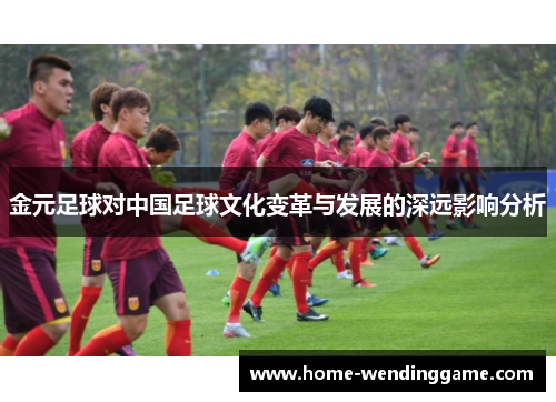 金元足球对中国足球文化变革与发展的深远影响分析