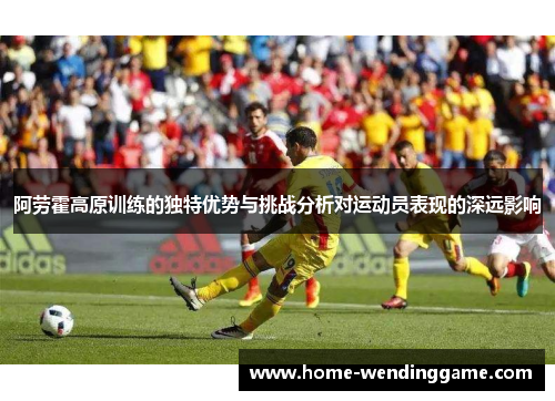 阿劳霍高原训练的独特优势与挑战分析对运动员表现的深远影响