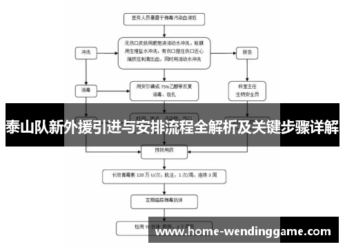 泰山队新外援引进与安排流程全解析及关键步骤详解