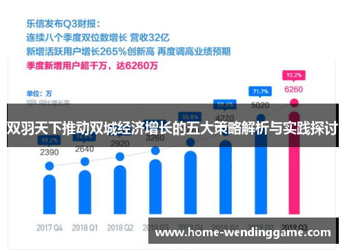 双羽天下推动双城经济增长的五大策略解析与实践探讨