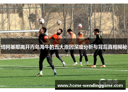 博阿基耶离开青岛海牛的五大原因深度分析与背后真相揭秘