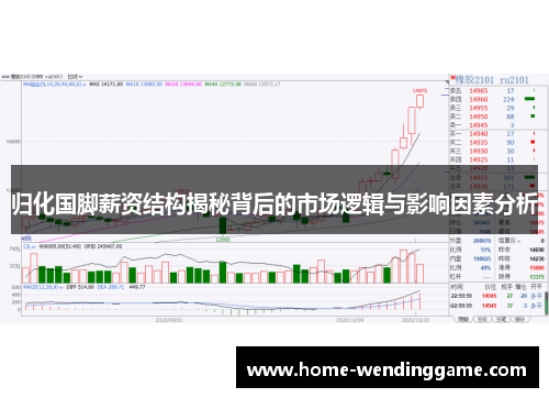 归化国脚薪资结构揭秘背后的市场逻辑与影响因素分析