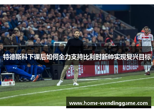 特德斯科下课后如何全力支持比利时新帅实现复兴目标
