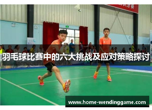 羽毛球比赛中的六大挑战及应对策略探讨