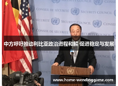 中方呼吁推动利比亚政治进程和解 促进稳定与发展
