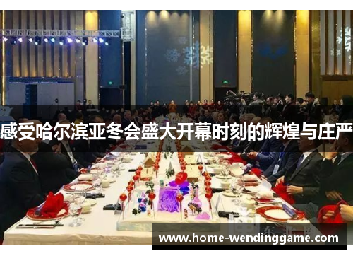 感受哈尔滨亚冬会盛大开幕时刻的辉煌与庄严