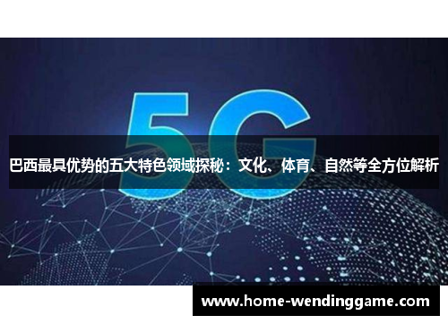 巴西最具优势的五大特色领域探秘：文化、体育、自然等全方位解析