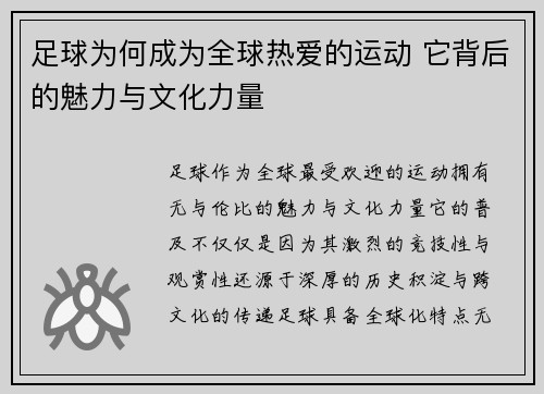 足球为何成为全球热爱的运动 它背后的魅力与文化力量